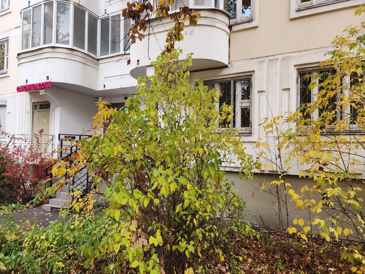ПСН 106 м2 в Ховрино